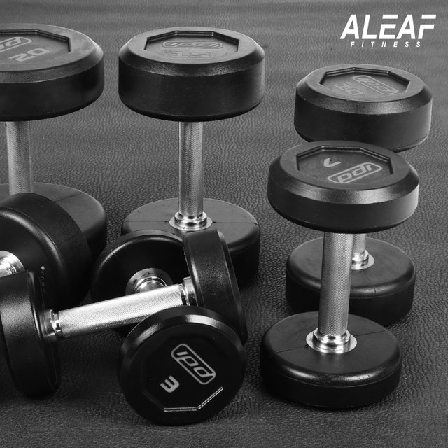 아리프 럭셔리 IPD 덤벨 40kg 아령 CPU신소재 헬스