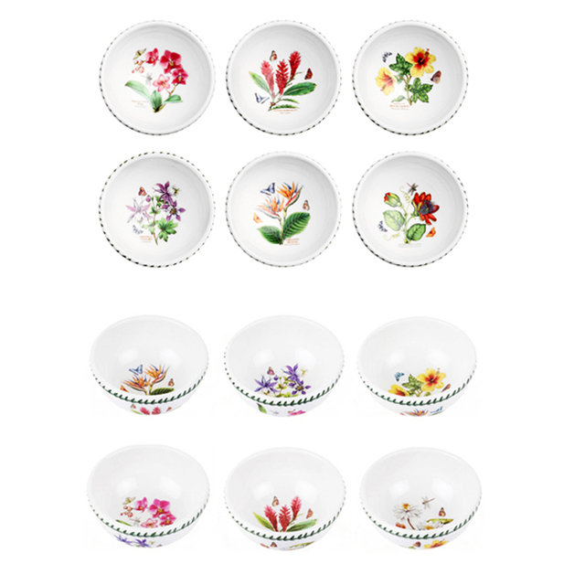 보타닉가든 엑소틱 공기4p+엑소틱 국공기4p