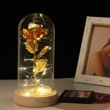 황금장미 카네이션 로즈 무드등 LED 유리돔 금장미 꽃 [갓샵]