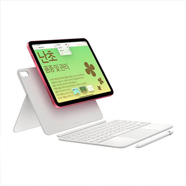 아이패드 10세대 Wi-Fi+Cellular 64GB - 실버 [MQ6J3KH/A]