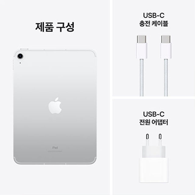 아이패드 10세대 Wi-Fi+Cellular 256GB - 실버 [MQ6T3KH/A]