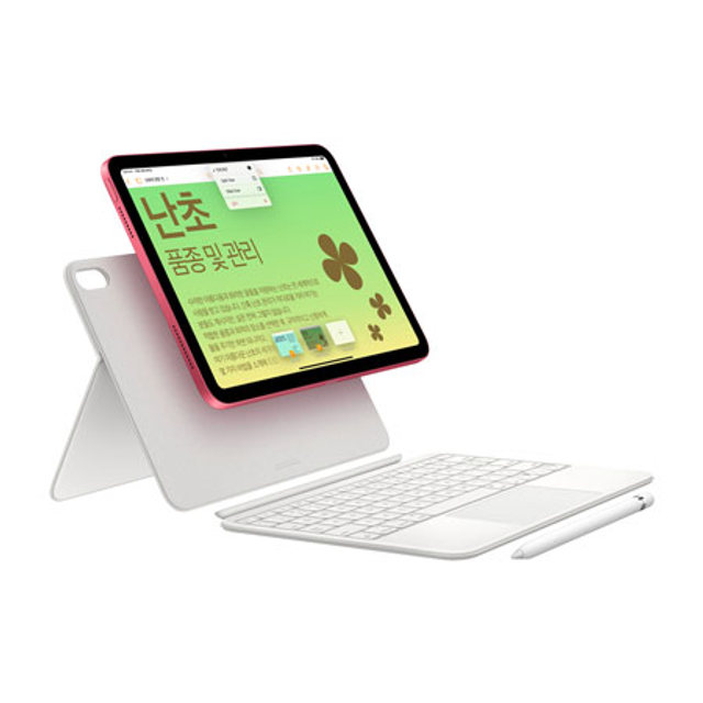 아이패드 10세대 Wi-Fi+Cellular 256GB - 블루 [MQ6U3KH/A]