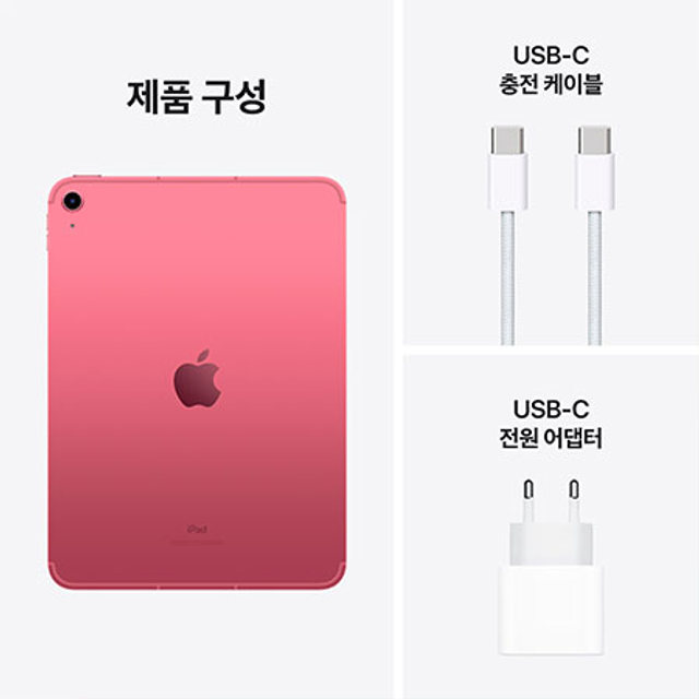 아이패드 10세대 Wi-Fi+Cellular 256GB - 핑크 [MQ6W3KH/A]
