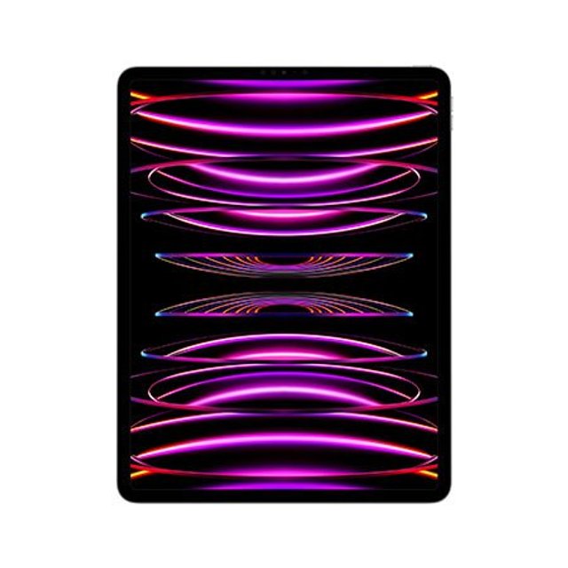 아이패드 프로 M2 12.9 6세대 Wi-Fi 1TB - 스페이스 그레이 [MNXW3KH/A]