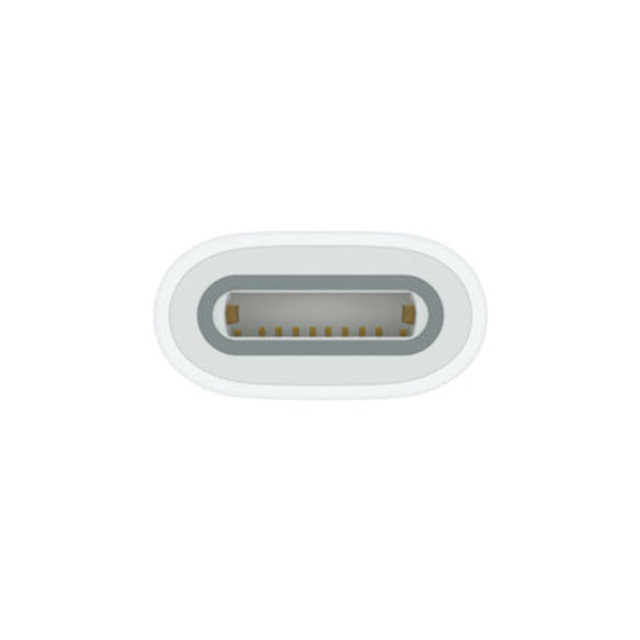 애플펜슬 USB-C 어댑터 MQLU3FE/A