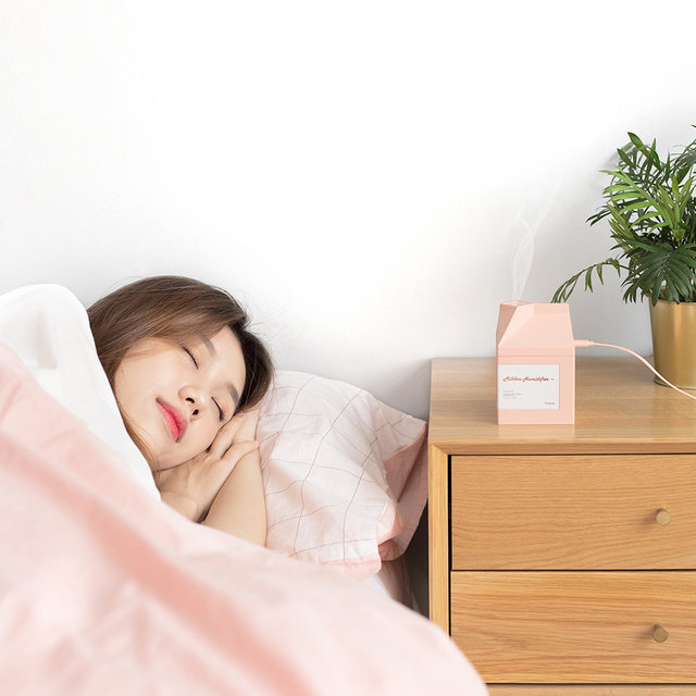 [비밀특가] 빅케이스 밀크박스 미니가습기_N