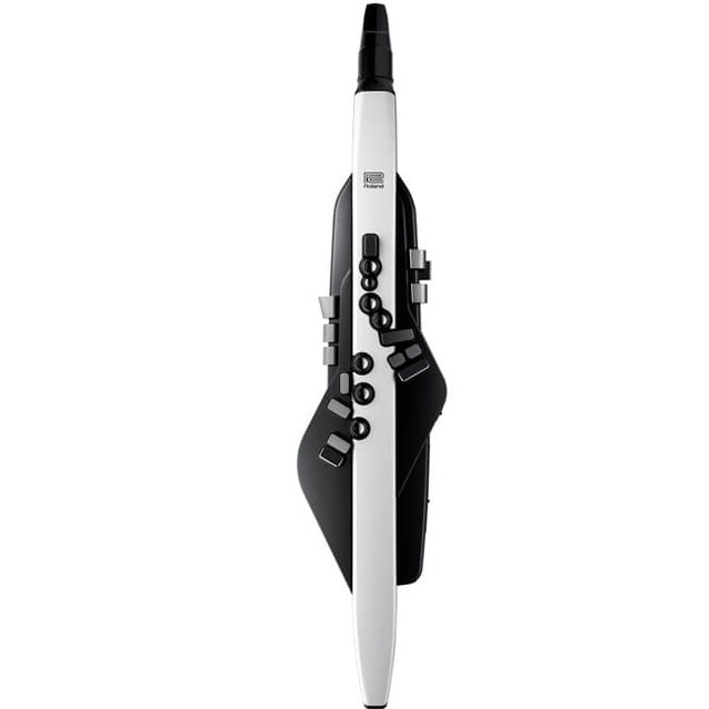 코스모스악기 ROLAND AE-20 (Aerophone)  에어로폰 전자색소폰