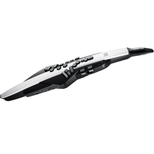 코스모스악기 ROLAND AE-20 (Aerophone)  에어로폰 전자색소폰