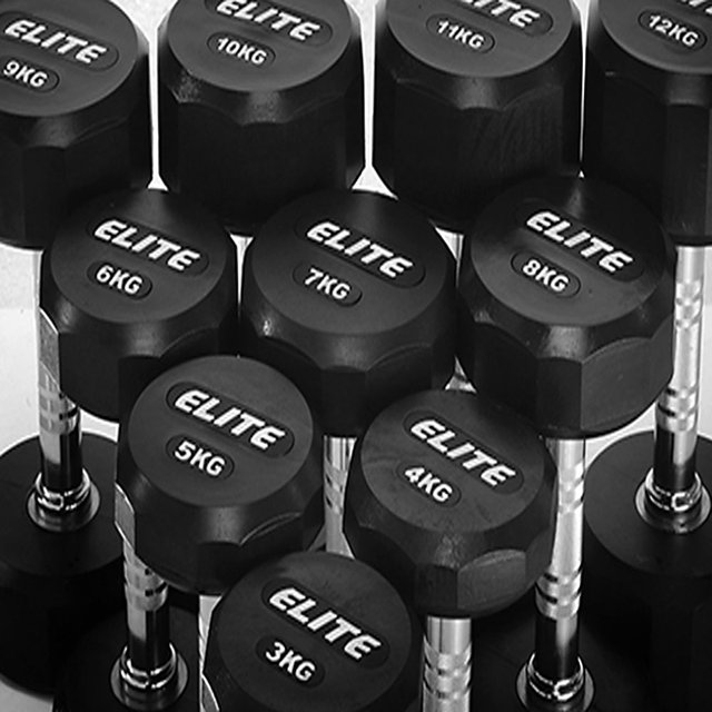 베스코 아령 PEV 12각아령 22kg 헬스 홈트레이닝 무게
