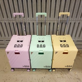 프리미엄 접이식 폴딩 카트 60L[바퀴4개/360도 회전][락폴딩 가능]
