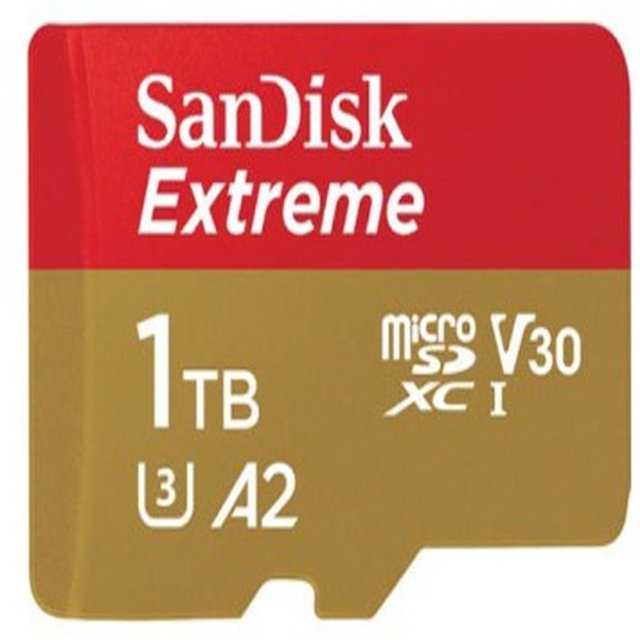 샌디스크 SDSQXAV-1T00 UHS-I U3 V30 A2 1TB