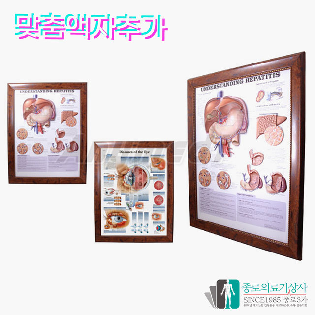 인체해부도 3D차트 병원액자 9960 간 해부도 간의 구조 54X74cm_액자있음