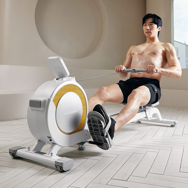 [비밀특가]다이나믹 로잉머신 ER100 가상현실 게임 실내 전신 유산소 조정 근력 운동기구
