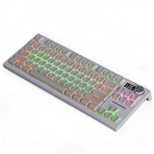 [해외직구] LANGTU LED 기계식 키보드 RGB LT-84 C타입 유선 키보드 84키캡 RGB효과