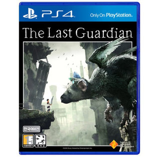 플스 플레이스테이션 PS4 더라스트가디언(한글화)
