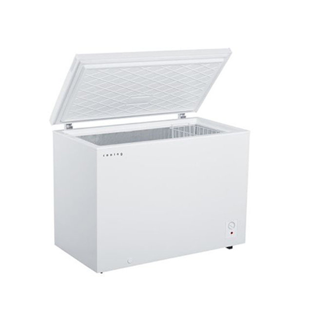 다목적 냉동고 FR-302CW (295L)