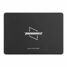 타무즈 GK350 SSD (256GB)