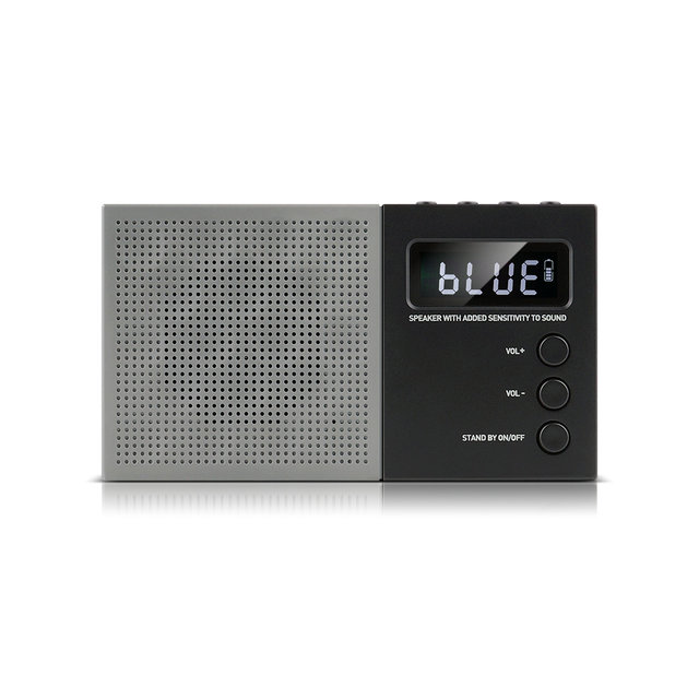 Canston E2 블루투스 라디오 스피커