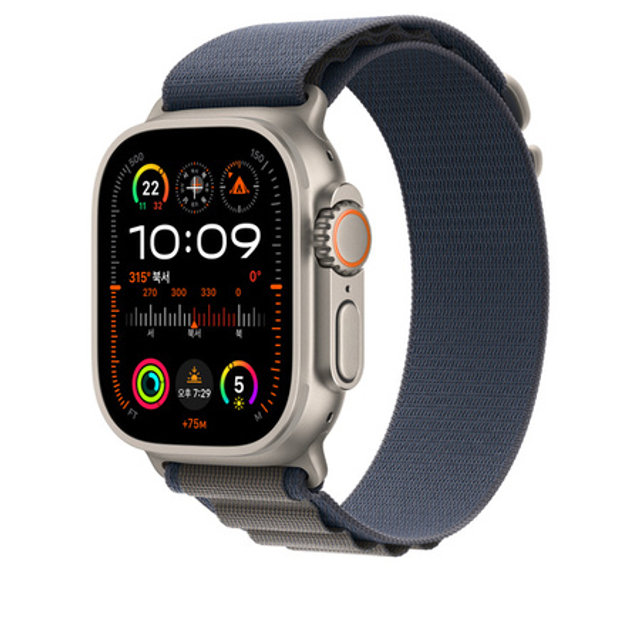 애플워치 알파인 루프 49mm (블루, M)