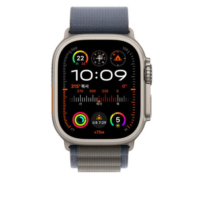 애플워치 알파인 루프 49mm (블루, M)