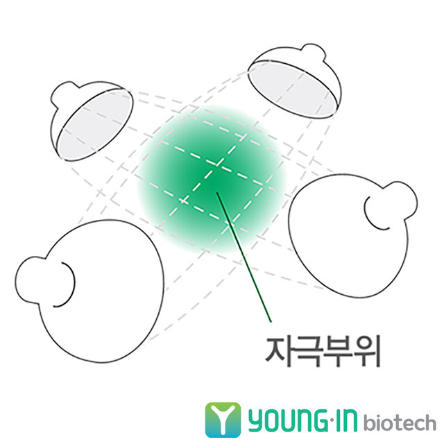 영인바이오텍 국내생산 2인용 저주파자극기 IN-2300 간섭파형 병원용 간섭파치료기