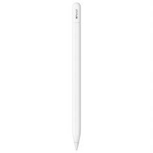 애플펜슬 Apple Pencil (USB-C) (MUWA3KH/A)