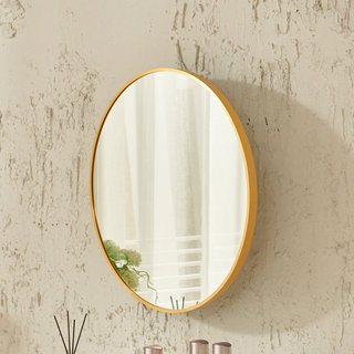 아이앤 아르티 각도조절 원형 거울 YP