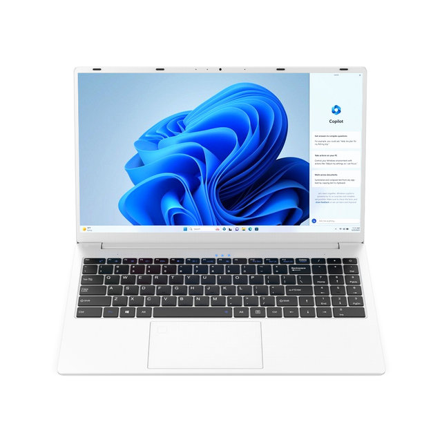 스톰화이트(16G/1TB) 노트북 39.624cm(15.6인치) 13세대 I5 윈도우11프로 리커버리모드 WIFI6 지문인식 고사양 