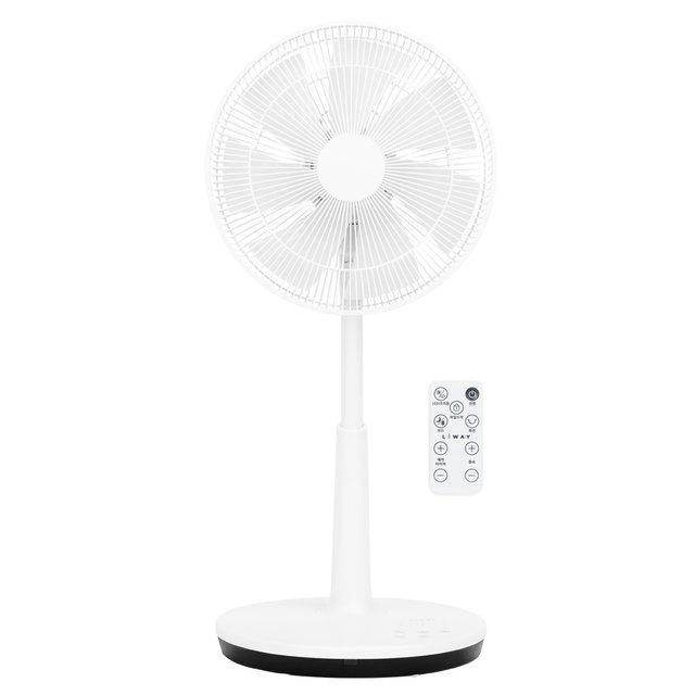 리웨이 사일런스 프라임 BLDC 리모컨 선풍기