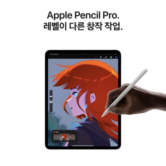 아이패드 프로 13 M4 Wi-Fi 256GB 스탠다드 글래스 - 스페이스 블랙 [MVX23KH/A]