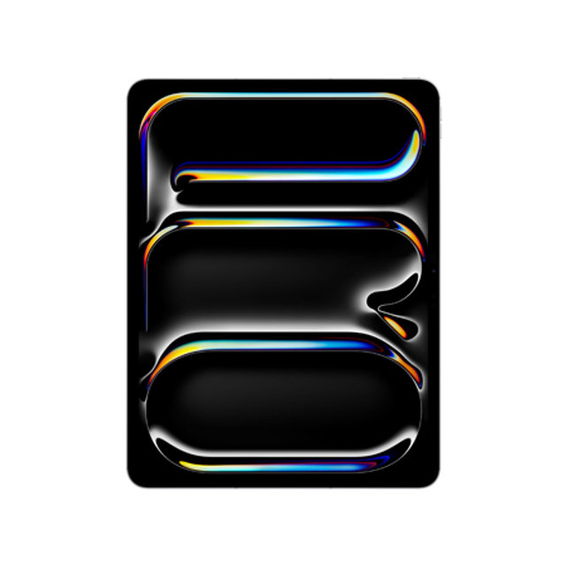  아이패드 프로 13 M4 Wi-Fi + Cellular 1TB 스탠다드 글래스 - 실버 [MVXX3KH/A]