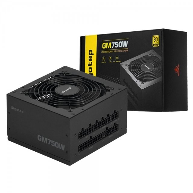 Segotep GM750W GOLD 풀모듈러 ATX 3.1 (PCIE5.1) B