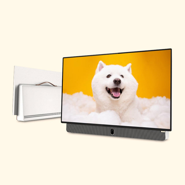실내 실외 캠핑 올인원 무선 포터블TV 이스트라 팔로미 61cm 스마트TV (택배)