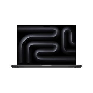 맥북 프로 16 M4 Max, 16코어 CPU, 40코어 GPU, 48GB RAM, 1TB SSD - 스페이스 블랙 [MX313KH/A]
