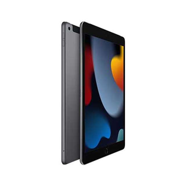 애플 iPad 9세대 셀룰러 256GB 그레이 MK4E3KH/A