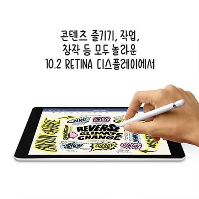 애플 iPad 9세대 셀룰러 256GB 그레이 MK4E3KH/A