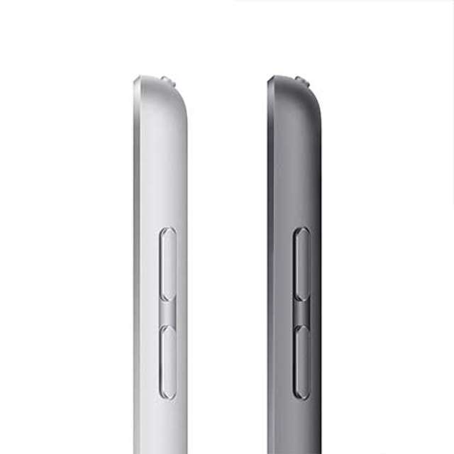애플 iPad 9세대 셀룰러 256GB 그레이 MK4E3KH/A