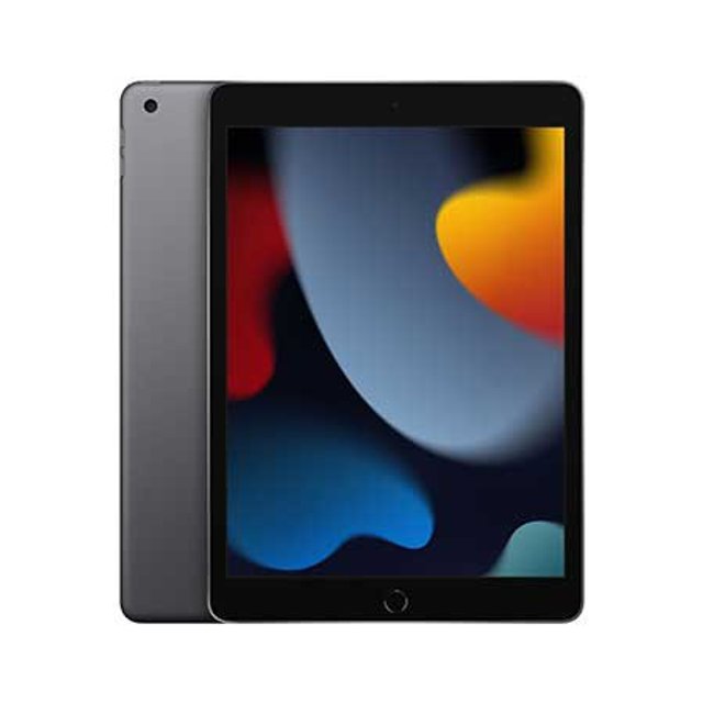 애플 iPad 9세대 셀룰러 256GB 그레이 MK4E3KH/A