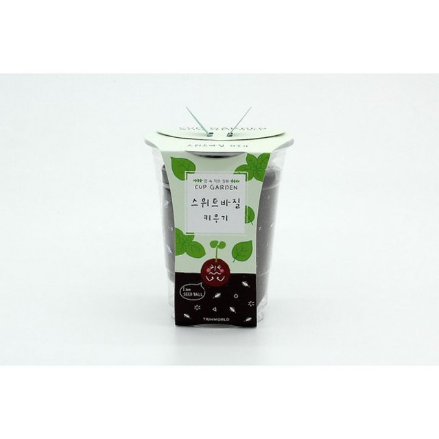 컵가든 스위트바질