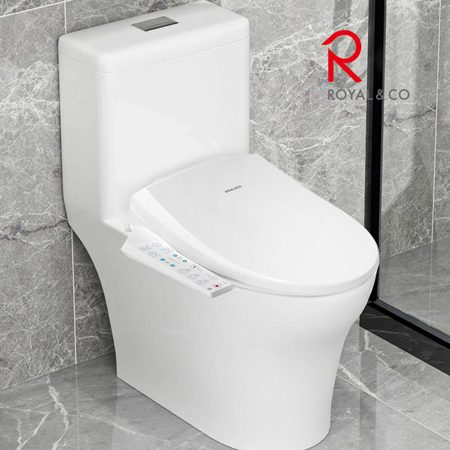 로얄 직수형 방수비데 RB-1770 로얄토토 자동노즐세척 필터없는비데 쾌변스파노즐교체