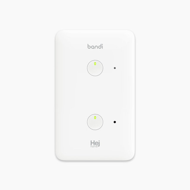 헤이홈 스마트 스위치 2구 BDS03G2-01