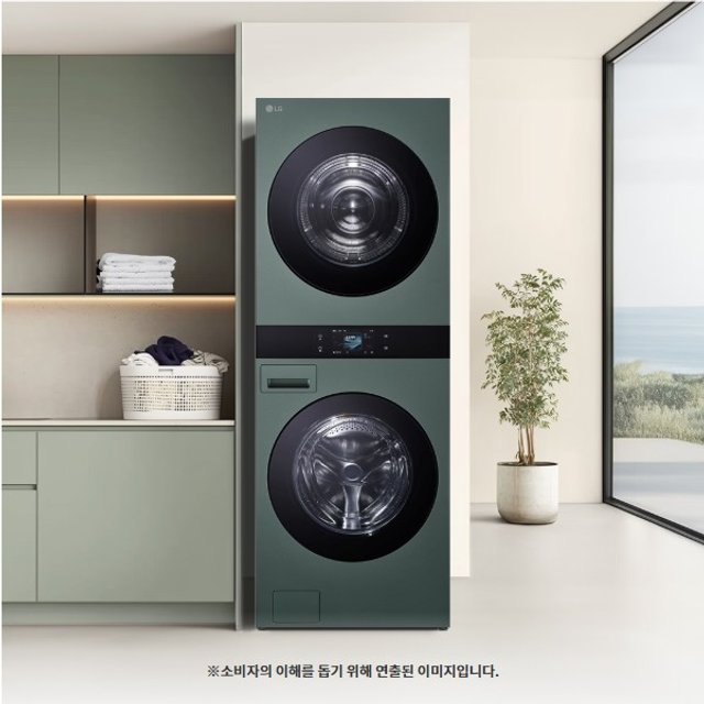 워시타워 25kg+25kg WA2525GGHF (네이처그린/네이처그린) 