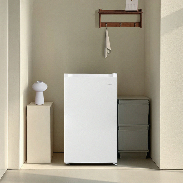 더함 CHIQ 미니냉동고 소형 가정용 냉동고 급속 업소용 원룸 스탠드 냉동고 65L 