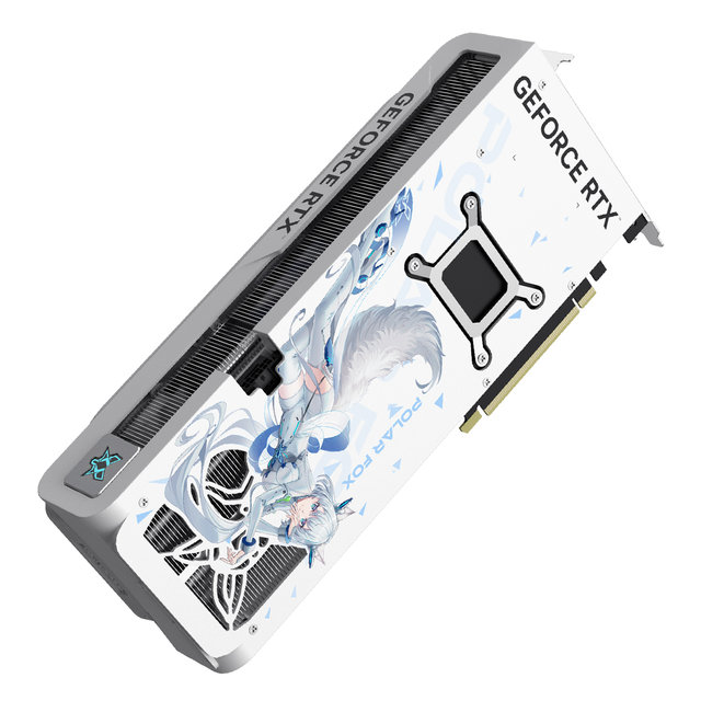 MANLI 지포스 RTX 5080 Polar Fox V2 D7 OC 16GB인텍앤컴퍼니 VGA 그래픽카드 신버전