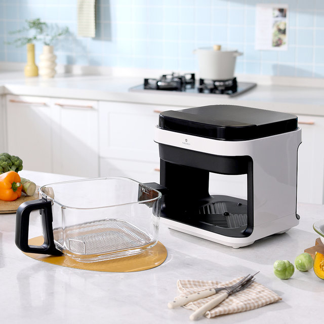 디온리 저소음 5.5L 투핸들 글라스 큐브 대용량 에어프라이어 +광파 NAA321BK