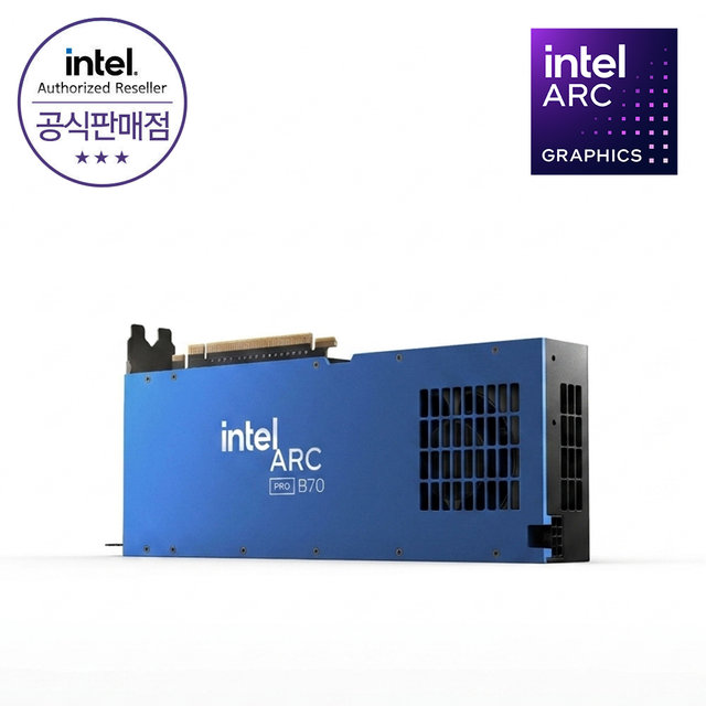 인텔 아크 프로 Arc Pro B70 D6 32GB 그래픽카드 CY