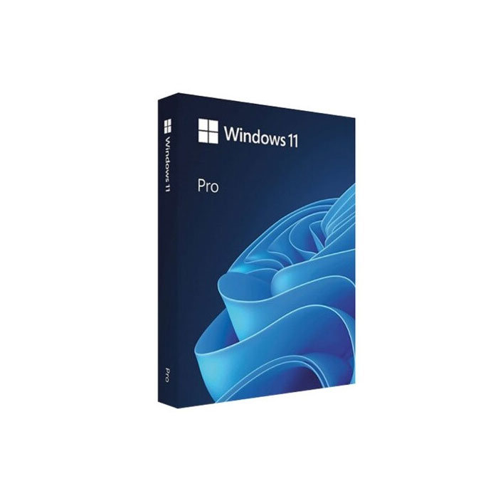 FORYOUCOM 단독구매불가 Windows 11 Pro 처음사용자용 패키지 FPP 한글/설치USB포함