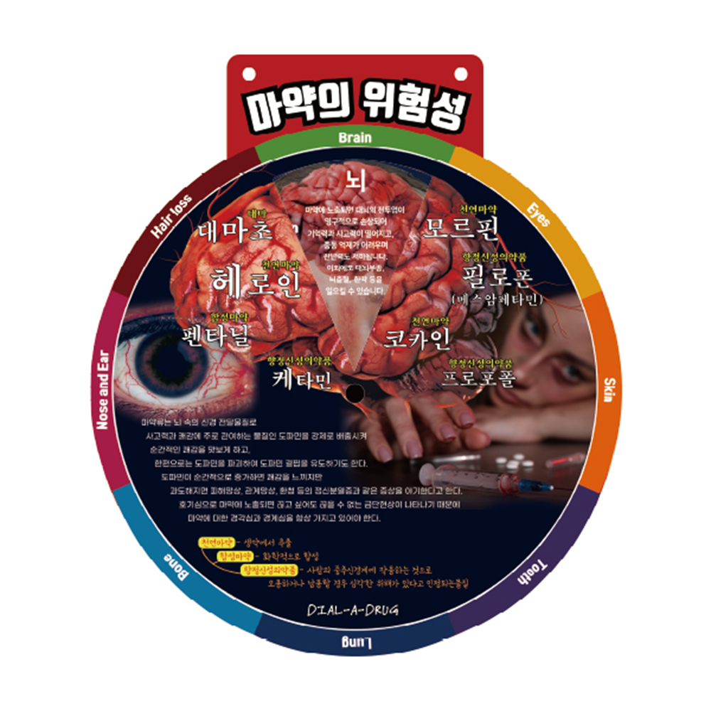 소영 종로의료기 보건교육 마약의위험성 원형 다이얼 60cm 대형판 약물교육자료