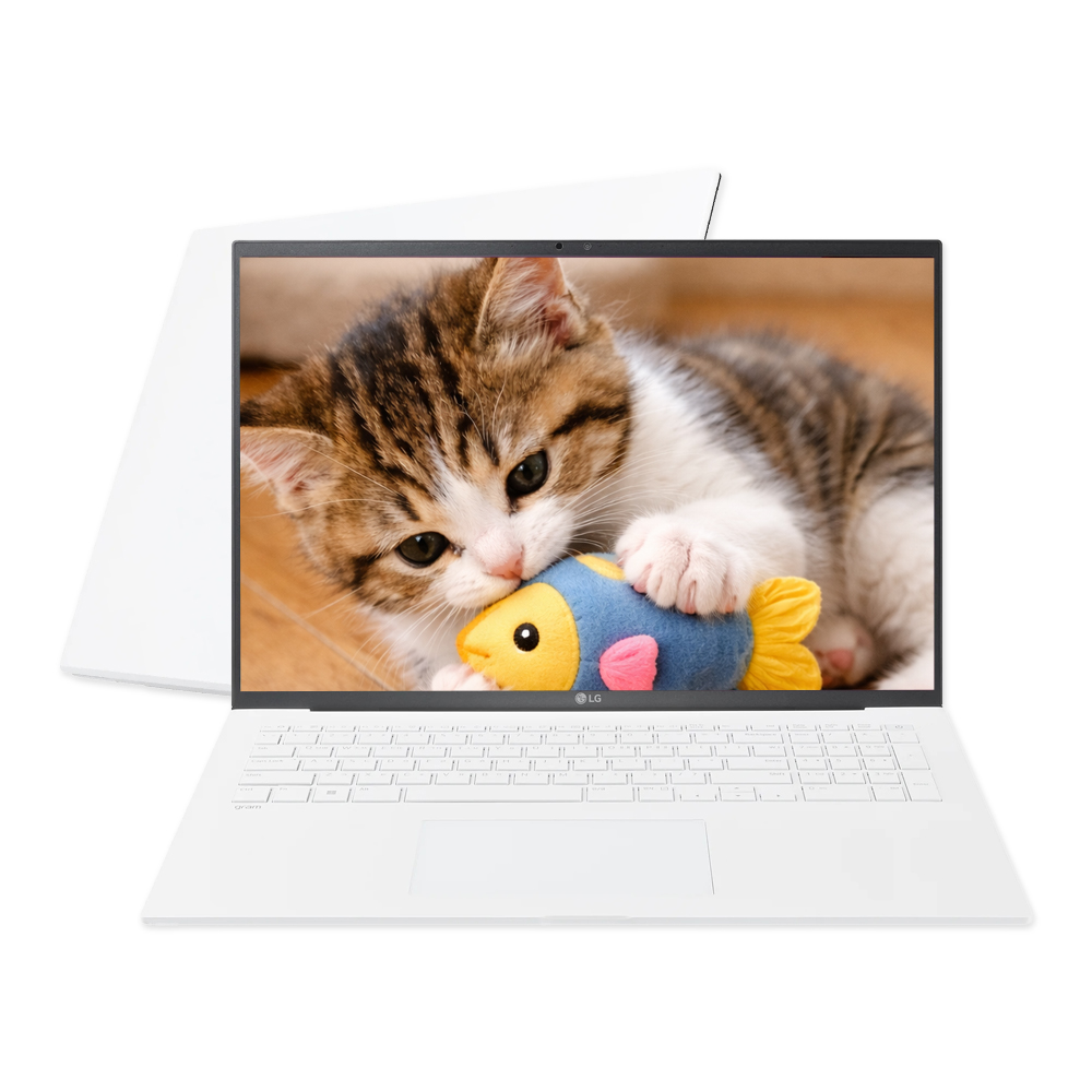 LG전자 엘지전자 LG전자 그램17 17ZD90RU-GX54K 인텔i5 1334U 16GB 256G 17인치 대화면 가성비 슬림 노트북 EU
